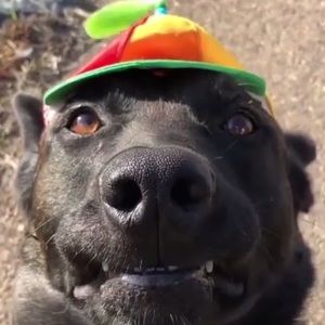 Meet your Posher, Kaylee